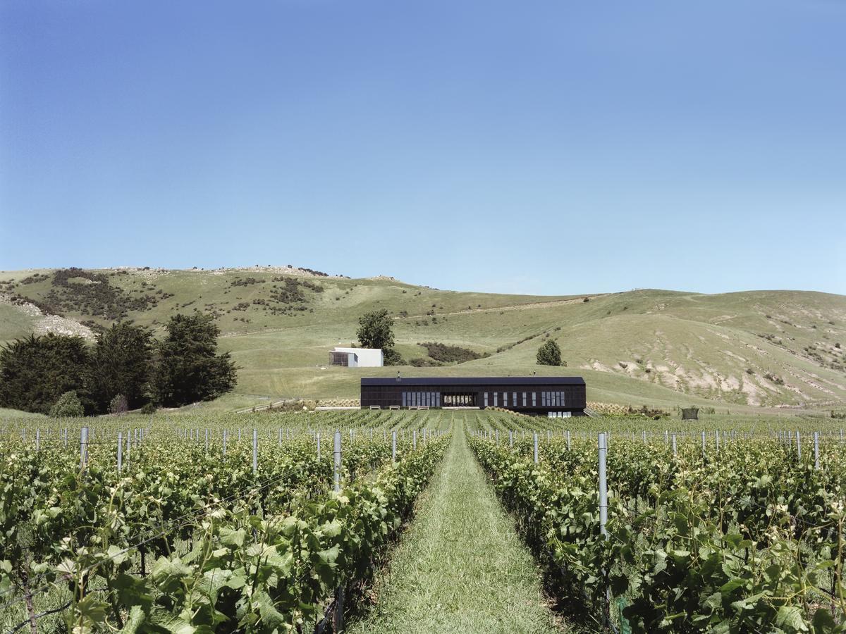 Waipara Black Estate B & B מראה חיצוני תמונה